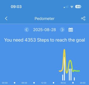 Fitness Session