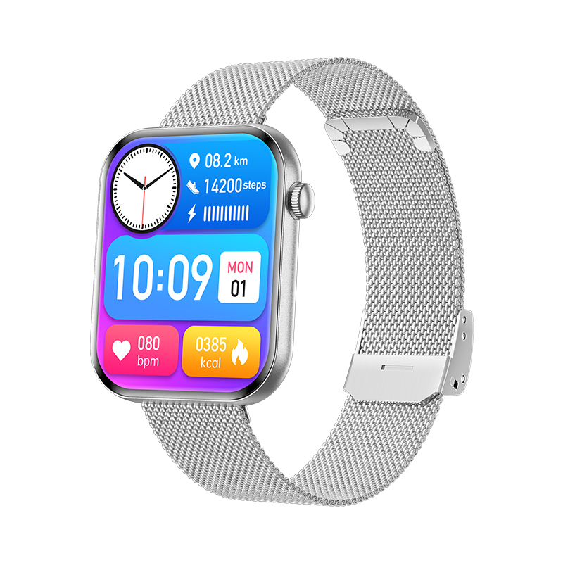 Wolf Beta Sirius Smart Watch - silver steel, oblique front view