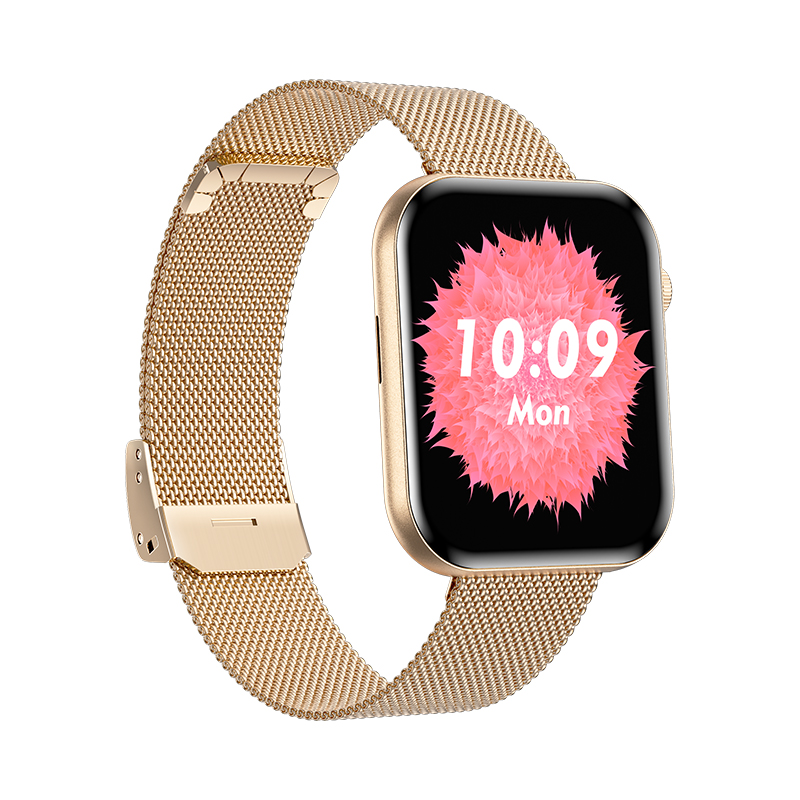 Wolf Beta Sirius Smart Watch - gold steel, oblique front view